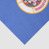 Staatsflagge in Minnesota Seidenpapier (Ausschnitt)