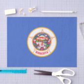 Staatsflagge in Minnesota Seidenpapier (Handwerk)
