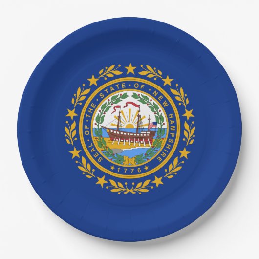 Staatsflagge in New Hampshire Pappteller (Vorderseite)