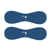 Staatsflagge in South Carolina Baseball (Paneele)