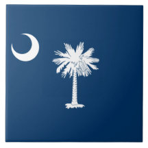 Staatsflagge in South Carolina