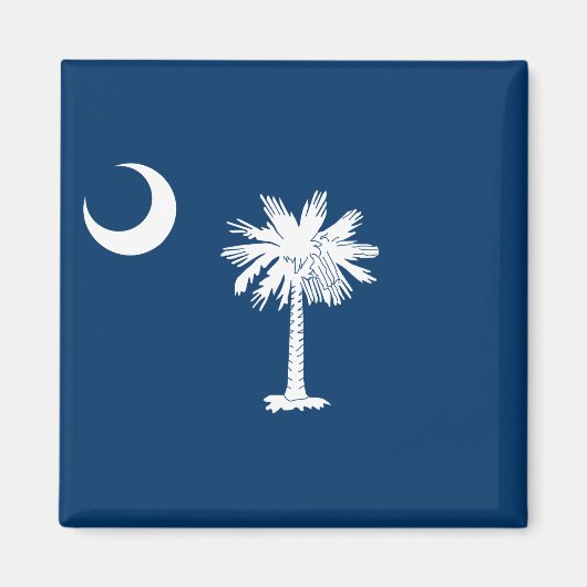 Staatsflagge in South Carolina Magnet (Vorne)