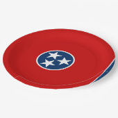 Staatsflagge in Tennessee Pappteller (Schrägansicht)
