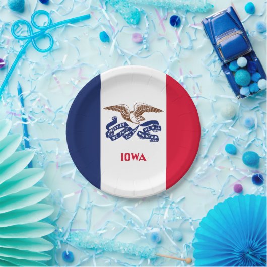 Staatsflagge Iowa Pappteller (Party)