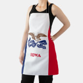 Staatsflagge Iowa Schürze (InSitu)