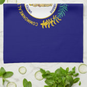 Staatsflagge Kentucky Geschirrtuch (Gefaltet)