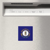 Staatsflagge Kentucky Magnet (In Situ (Geschirrspüler))