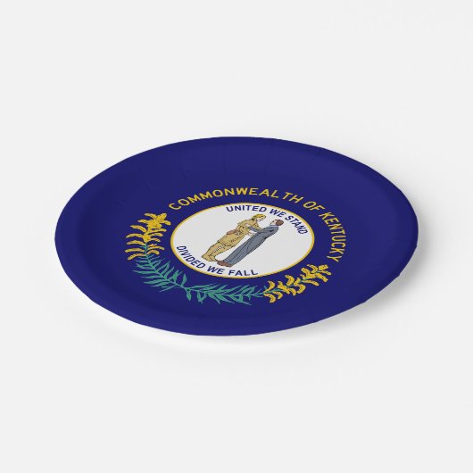 Staatsflagge Kentucky Pappteller (Schrägansicht)