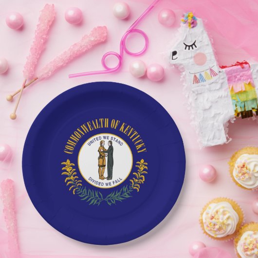Staatsflagge Kentucky Pappteller (Party)