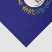 Staatsflagge Kentucky Seidenpapier (Ausschnitt)