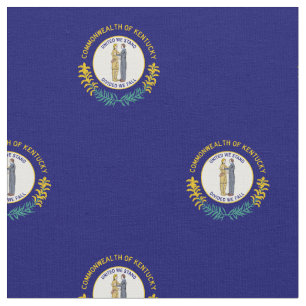 Staatsflagge Kentucky Stoff