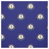Staatsflagge Kentucky Stoff (Muster)