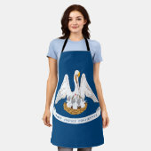 Staatsflagge Louisiana Schürze (Getragen)