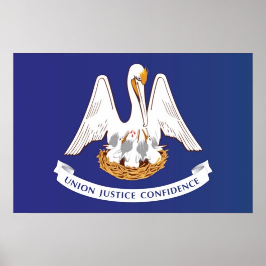 Staatsflagge Louisiana, USA Poster (Vorne)