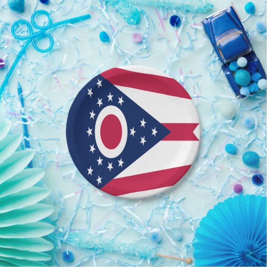 Staatsflagge Ohio Pappteller (Party)