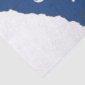 Staatsflagge South Carolina und Karte Seidenpapier (Ausschnitt)