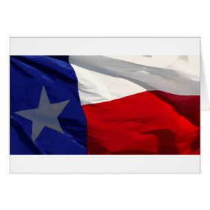 Staatsflagge Texas