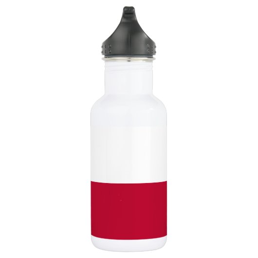 Staatsflagge Texas Edelstahlflasche (Rechts)