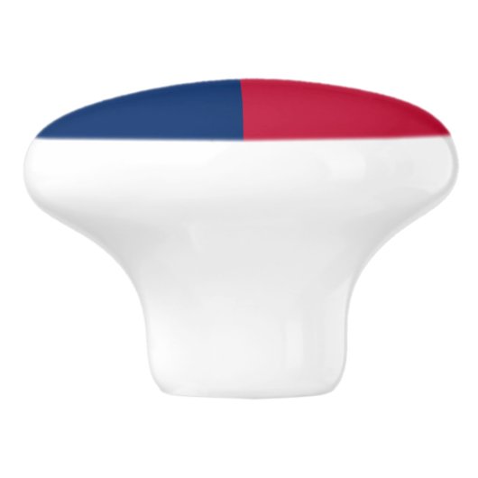 Staatsflagge Texas Keramikknauf (Seitenansicht)