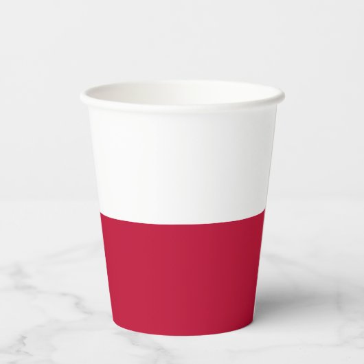 Staatsflagge Texas Pappbecher (Rückseite)