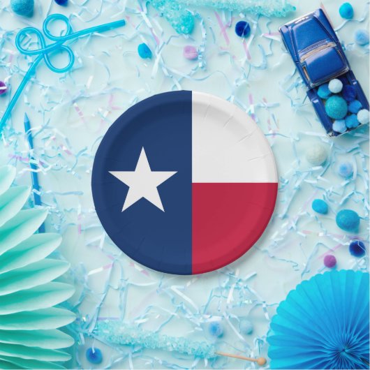 Staatsflagge Texas Pappteller (Party)