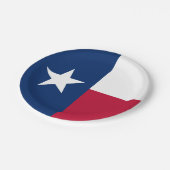 Staatsflagge Texas Pappteller (Schrägansicht)