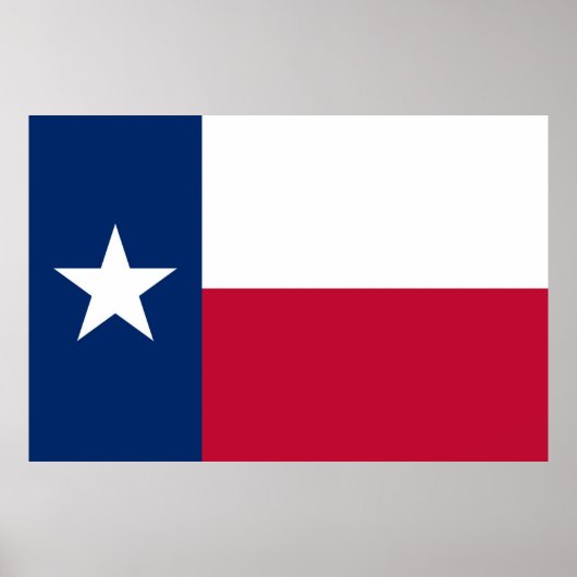 Staatsflagge Texas Poster (Vorne)