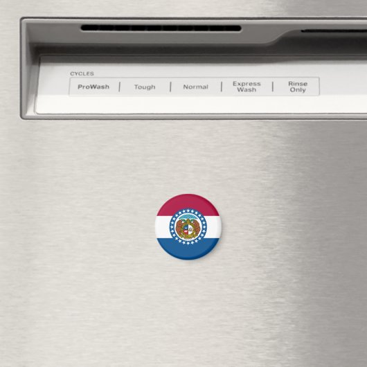 Staatsflagge USA Magnet (In Situ (Geschirrspüler))