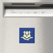 Staatsflagge von Connecticut Magnet (In Situ (Geschirrspüler))