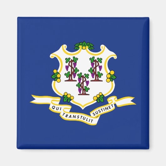 Staatsflagge von Connecticut Magnet (Vorne)