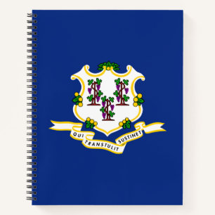 Staatsflagge von Connecticut Notizblock