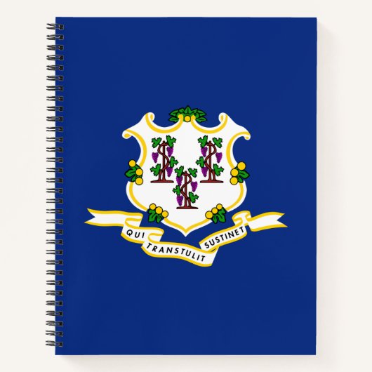 Staatsflagge von Connecticut Notizblock (Vorderseite)
