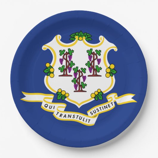 Staatsflagge von Connecticut Pappteller (Vorderseite)