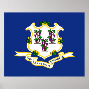 Staatsflagge von Connecticut Poster