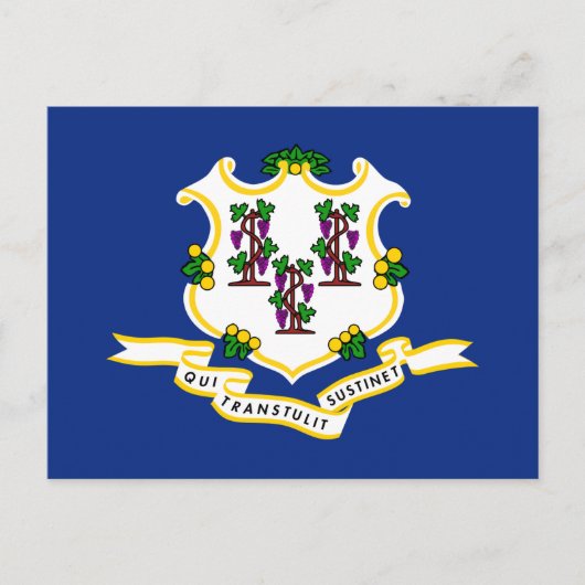 Staatsflagge von Connecticut Postkarte (Vorderseite)