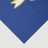 Staatsflagge von Connecticut Seidenpapier (Detail)