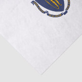Staatsflagge von Massachusetts Seidenpapier (Ausschnitt)