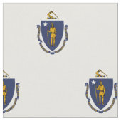 Staatsflagge von Massachusetts Stoff (Nahaufnahme)