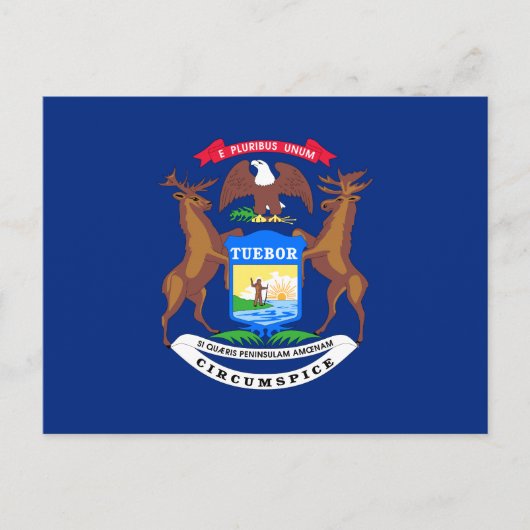 Staatsflagge von Michigan Postkarte (Vorderseite)