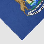 Staatsflagge von Michigan Seidenpapier (Ausschnitt)