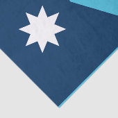 Staatsflagge von Minnesota Seidenpapier (Ausschnitt)
