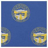 Staatsflagge von Nebraska Stoff (Nahaufnahme)