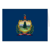 Staatsflagge von Vermont (Vorderseite (Horizontal))