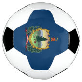 Staatsflagge von Vermont Fußball (Gedreht)