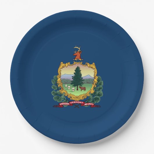 Staatsflagge von Vermont Pappteller (Vorderseite)