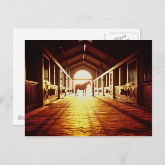 Stabile Hände Postkarte (Vorne/Hinten)