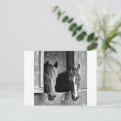 Stabile Partner Postkarte (Stehend Vorderseite)