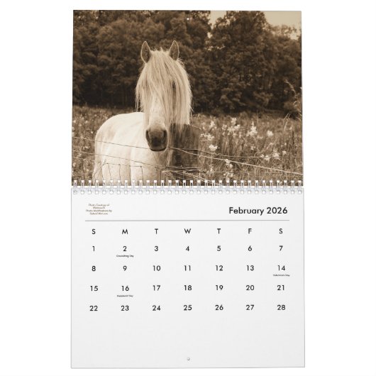 Stabiler Minded Western Pferd Lover 12 Monate Kalender (Feb 2026)