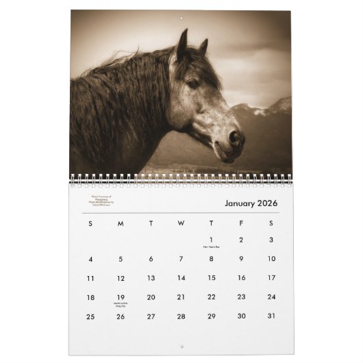 Stabiler Minded Western Pferd Lover 12 Monate Kalender (Jan 2026)