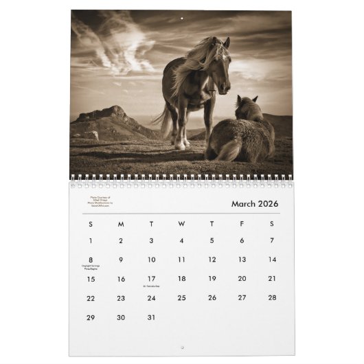 Stabiler Minded Western Pferd Lover 12 Monate Kalender (Mär 2026)